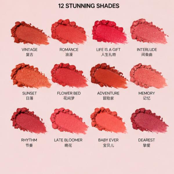 Mocallure Powder Kiss Matte Lipstick Palette 12 Colors Long Lasting Velvet Finish