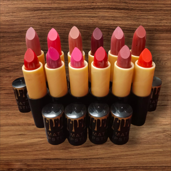 Matte Lipstick Set - Pack of 12 Multicolor Shades in Compact Box