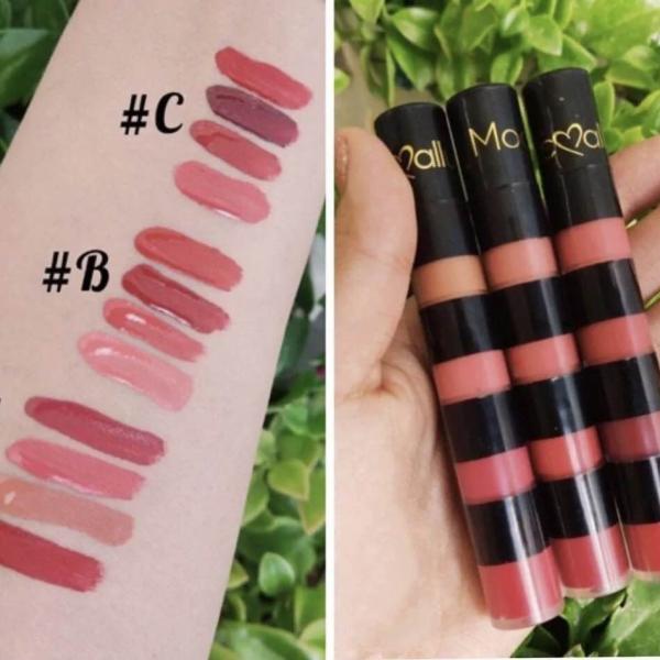 4 In 1 Waterproof Velvet Matte Lip Gloss Set - Long Lasting Multi-Color Liquid Lipstick