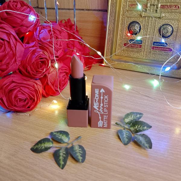 Awesome Matte Lipstick Set of 6 - Nude and Bold Shades, Highly Pigmented