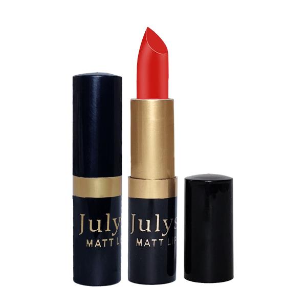 Julystar Matte Lipstick Pack of 12 - Long Lasting Dark and Nude Shades