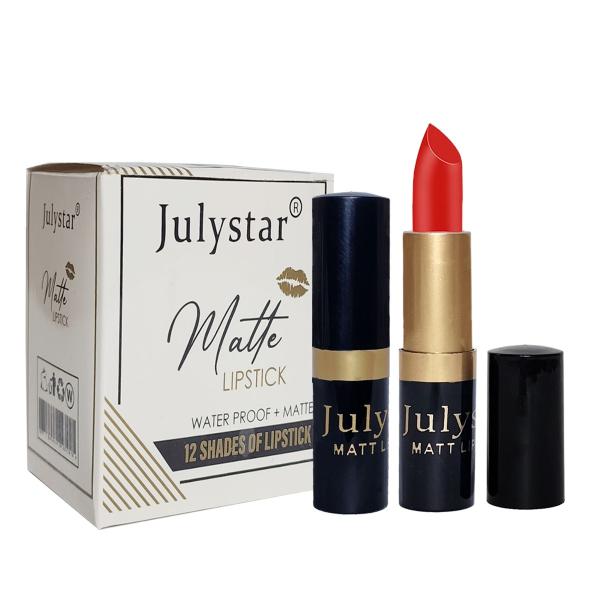 Julystar Matte Lipstick Pack of 12 - Long Lasting Dark and Nude Shades