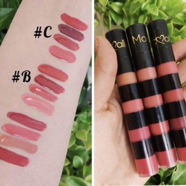 4 In 1 Waterproof Velvet Matte Lip Gloss Set - Long Lasting Multi-Color Liquid Lipstick