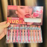 Lipgloss Lipstick Set 6/12 Shades Matte Dark Nude Colors Long-Lasting Lipsticks