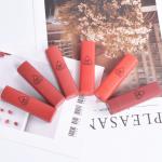 Hengfang 6 in 1 Matte Lipstick Set - Waterproof Six-Color Lip Kit